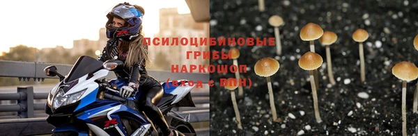 соль курить ск Каменка