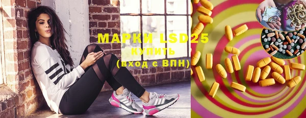 mix Инта