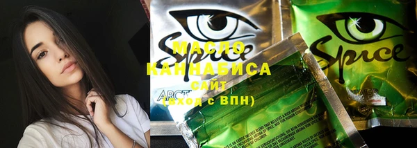 mix Инта