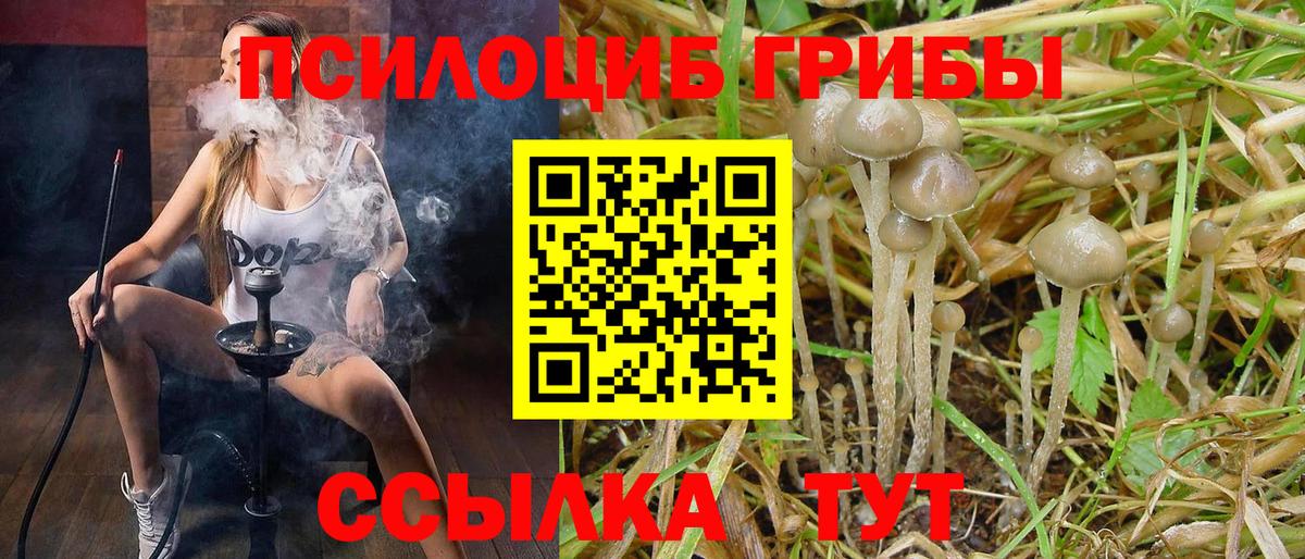 Галлюциногенные грибы прущие грибы  Галлюциногенные грибы ЛСД  Киржач  Вход с VPN 